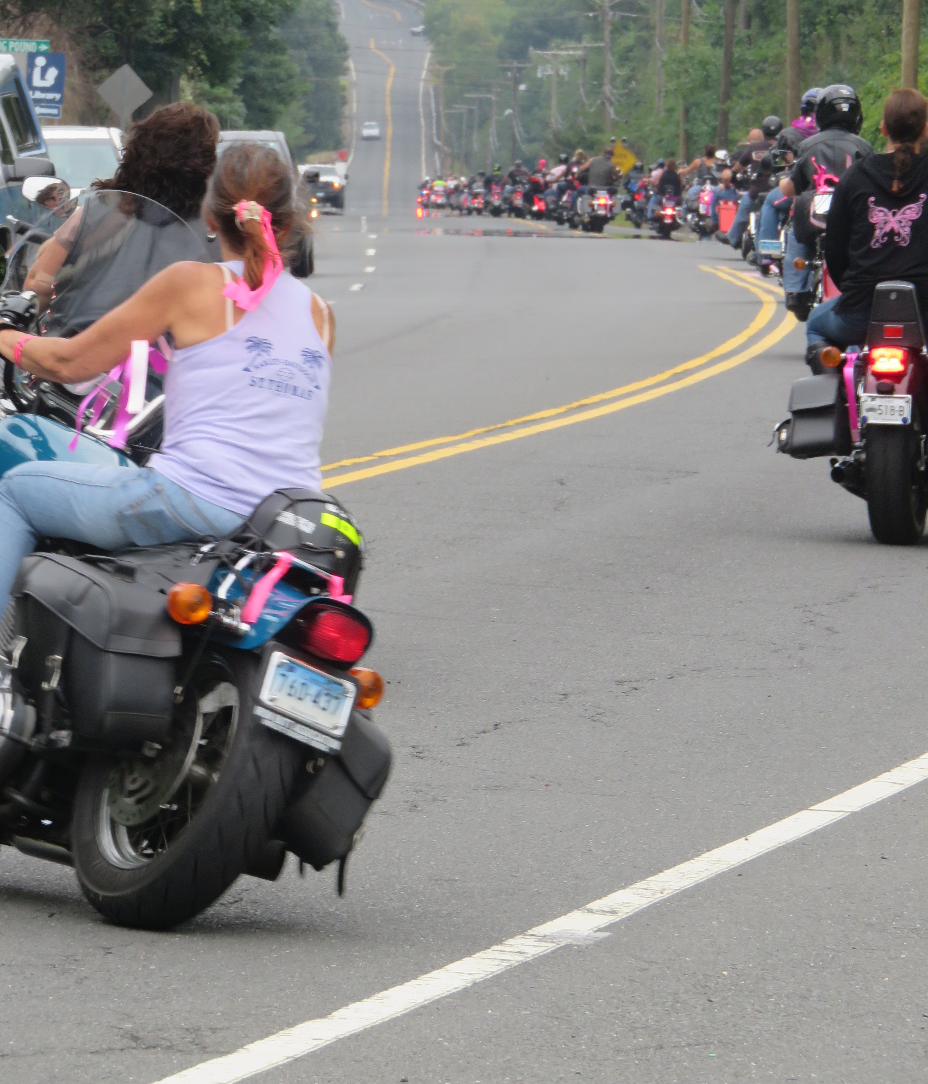 Line of motorcyclists riding down a winding road, pink ribbons on their bikes