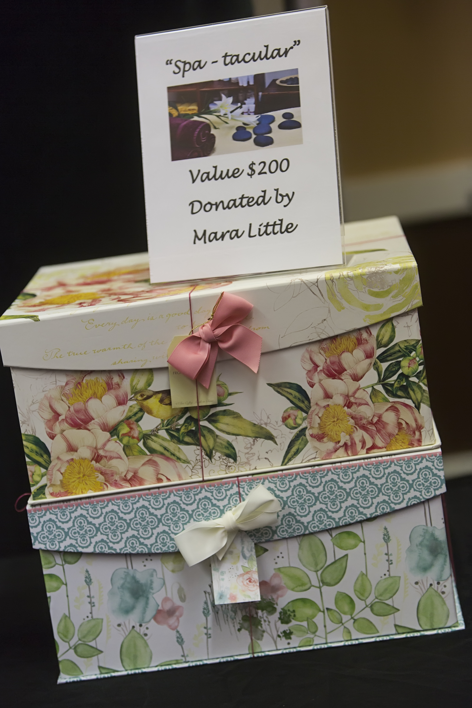 Spa-tacular auction gift box, value $200, donated by Mara Little