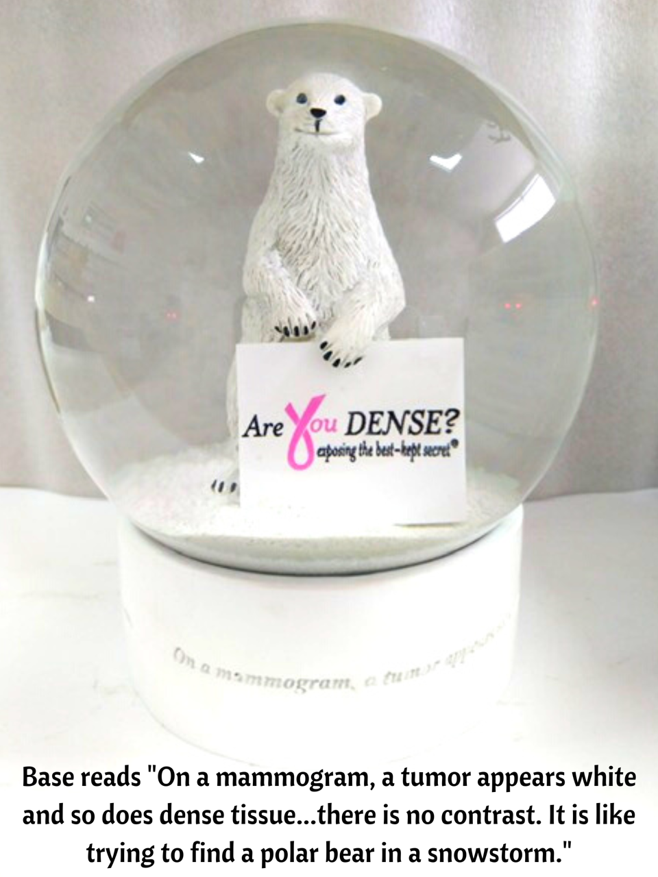 Are You Dense snow globe: a polar bear holding an "Are You Dense? exposing the best-kept secret" sign. The base reads "On a mammogram, a tumor appears white and so does dense tissue...there is no contrast. It is like trying to find a polar bear in a snowstorm."
