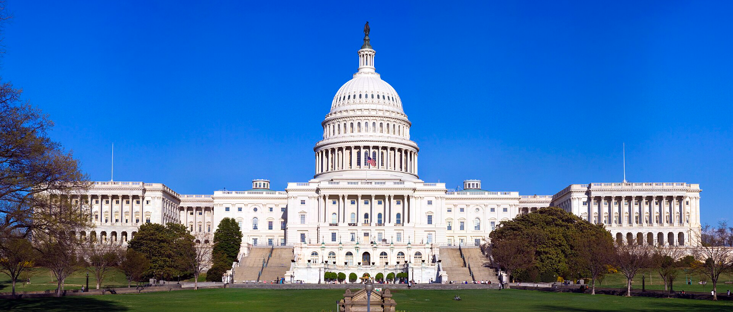 The U.S. Capitol in Washington, DC