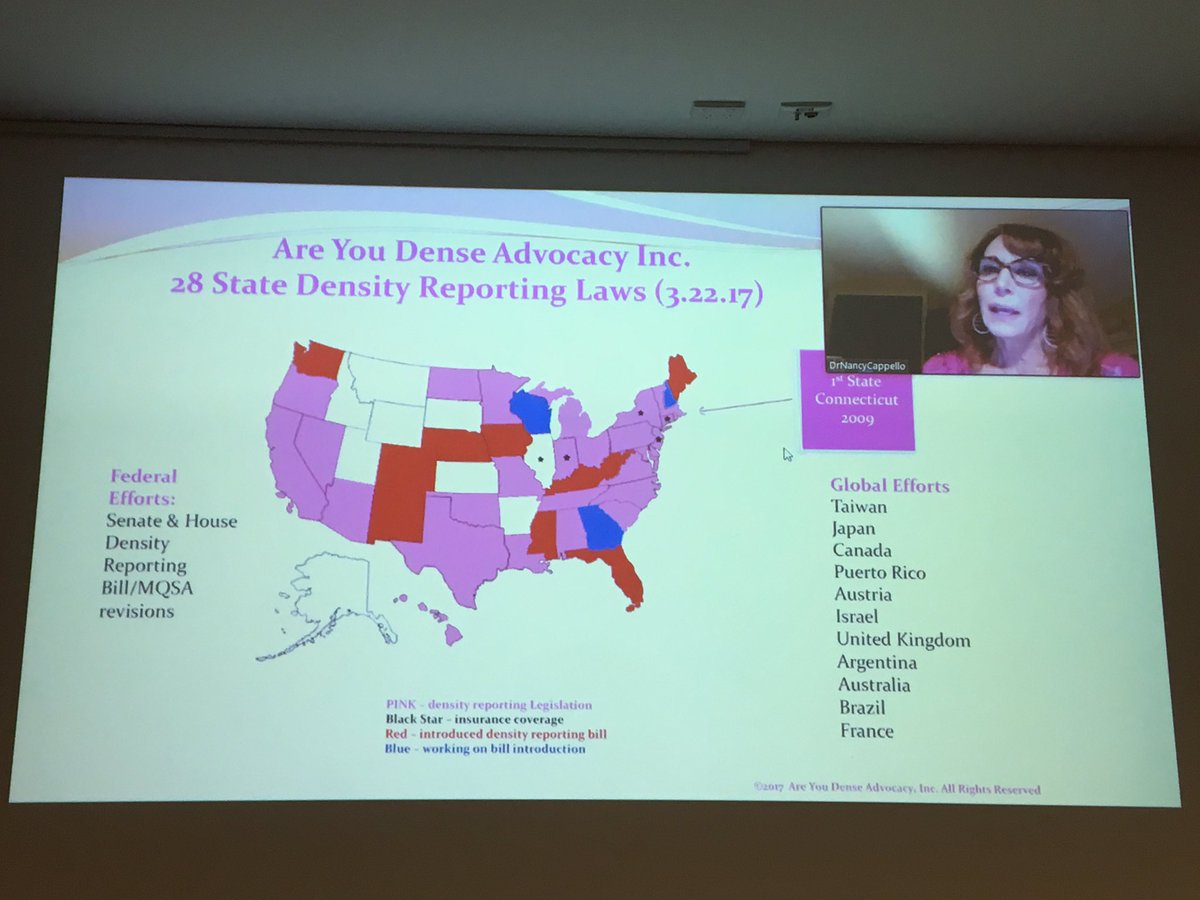 Dr. Cappello appearing by video beside a slide mapping 28 state density reporting laws and global efforts